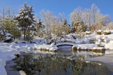 Photo of Marshall Park Photo of Marshall Park